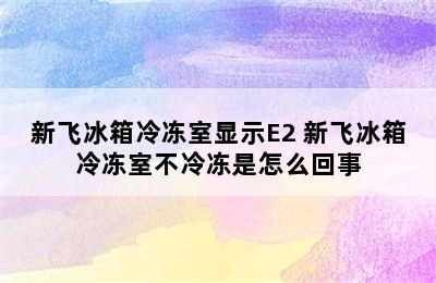 新飞冰箱冷冻室显示E2 新飞冰箱冷冻室不冷冻是怎么回事